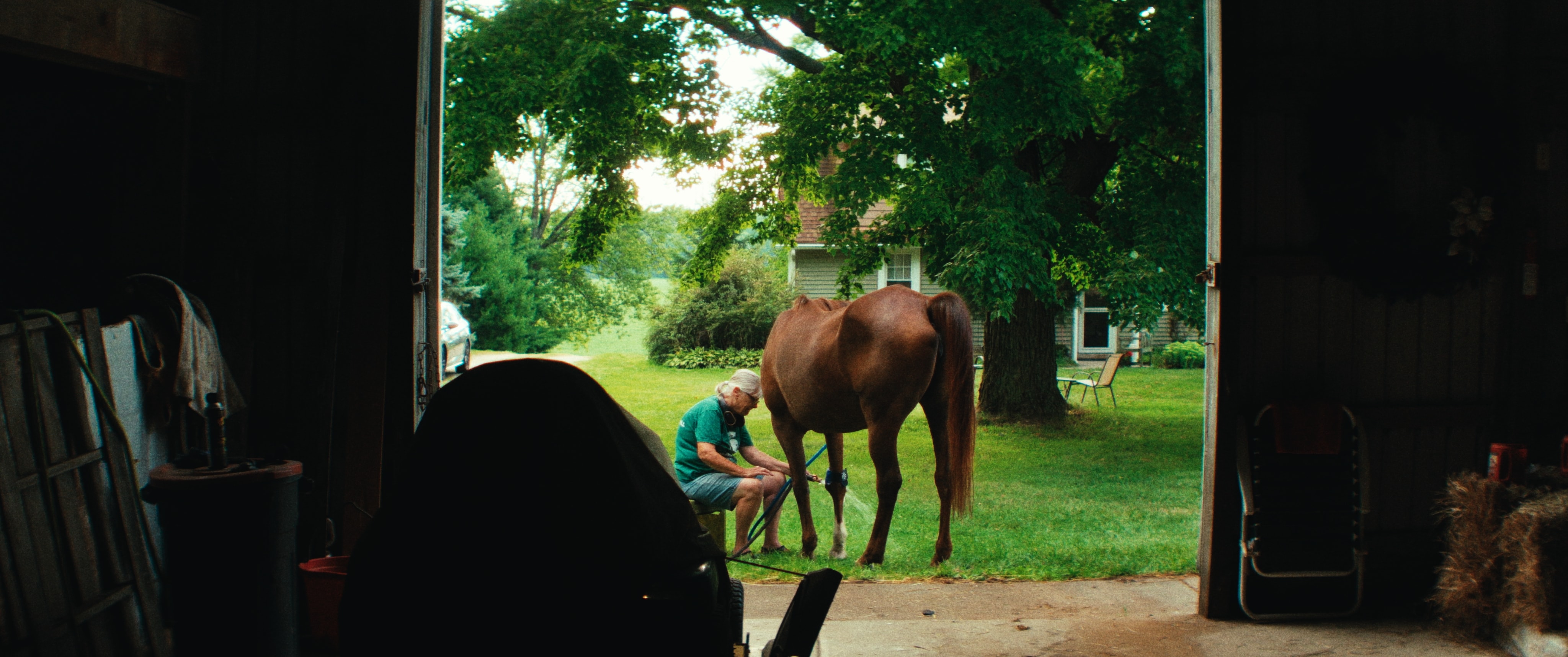 Louisell Farm — still 22