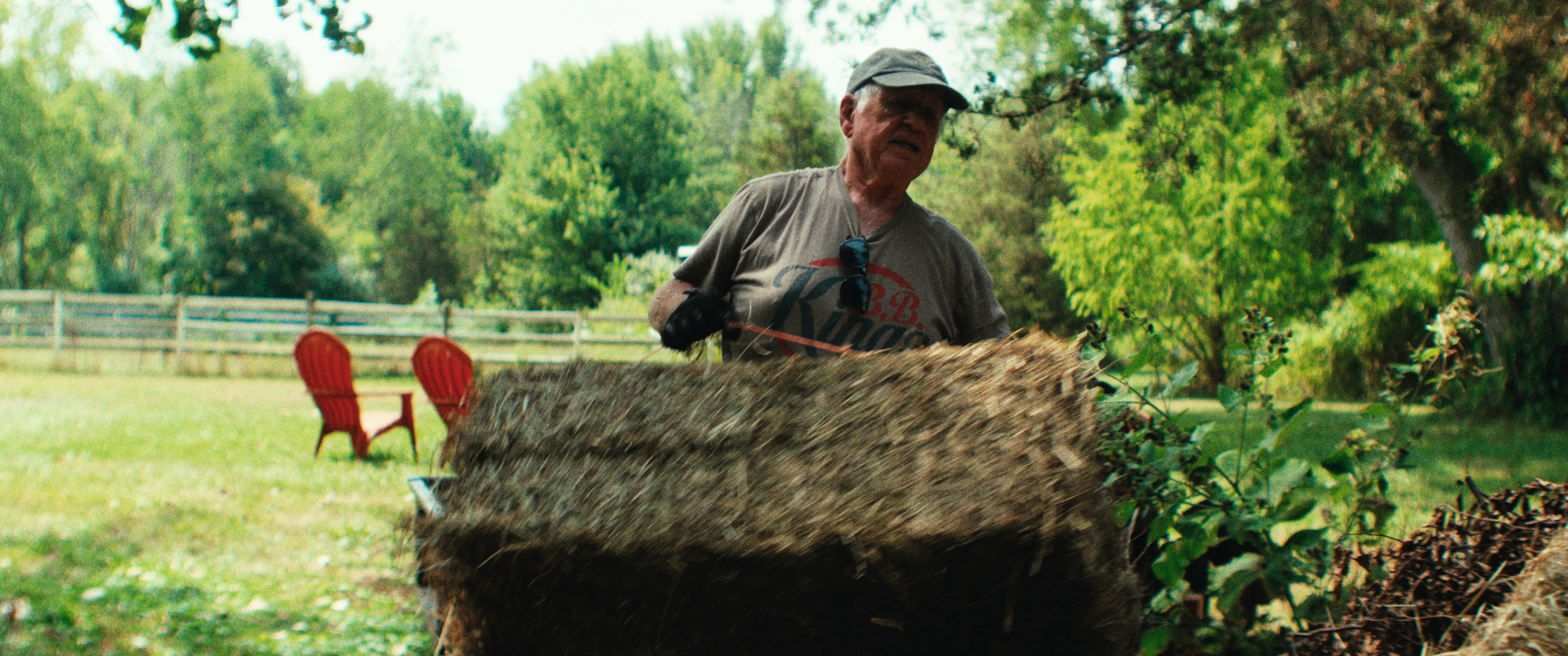 Louisell Farm — still 24