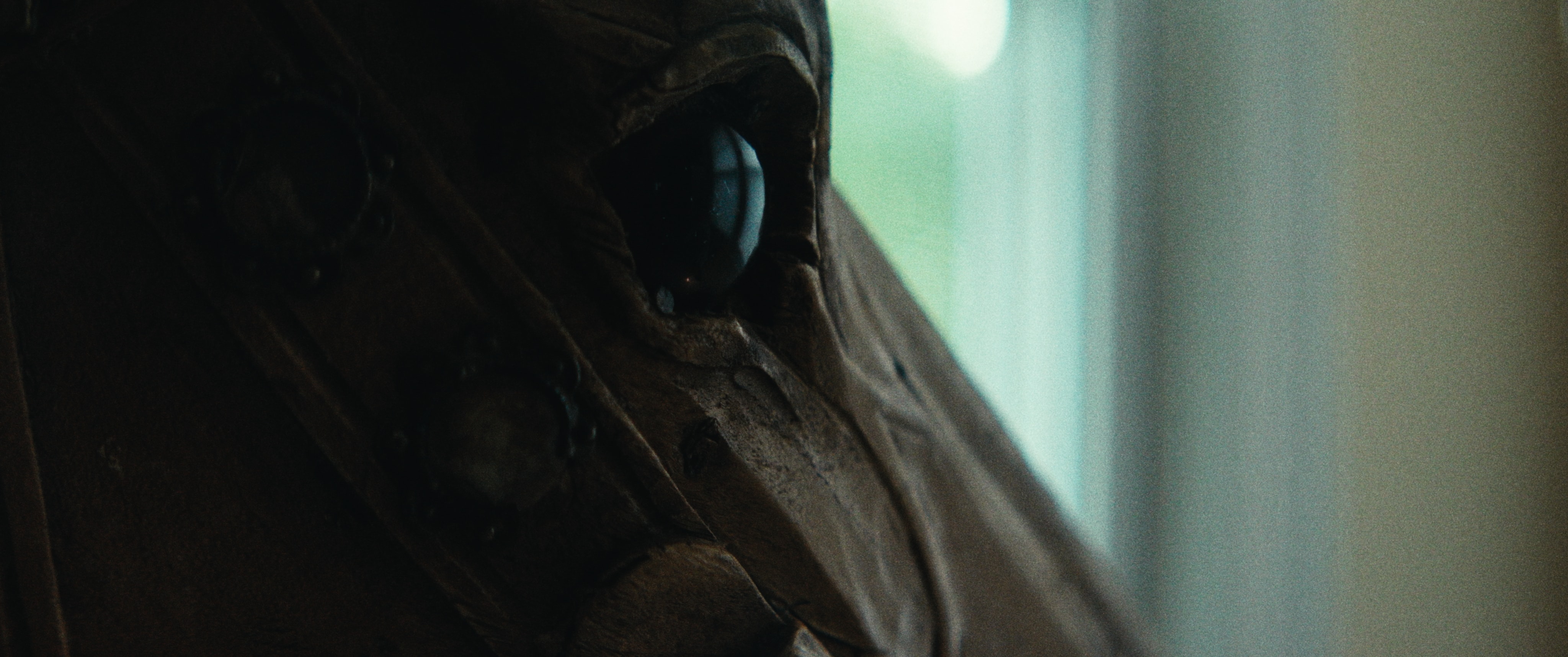 Louisell Farm — still 26